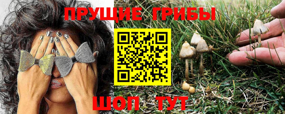Псилоцибиновые грибы MAGIC MUSHROOMS Верхняя Салда