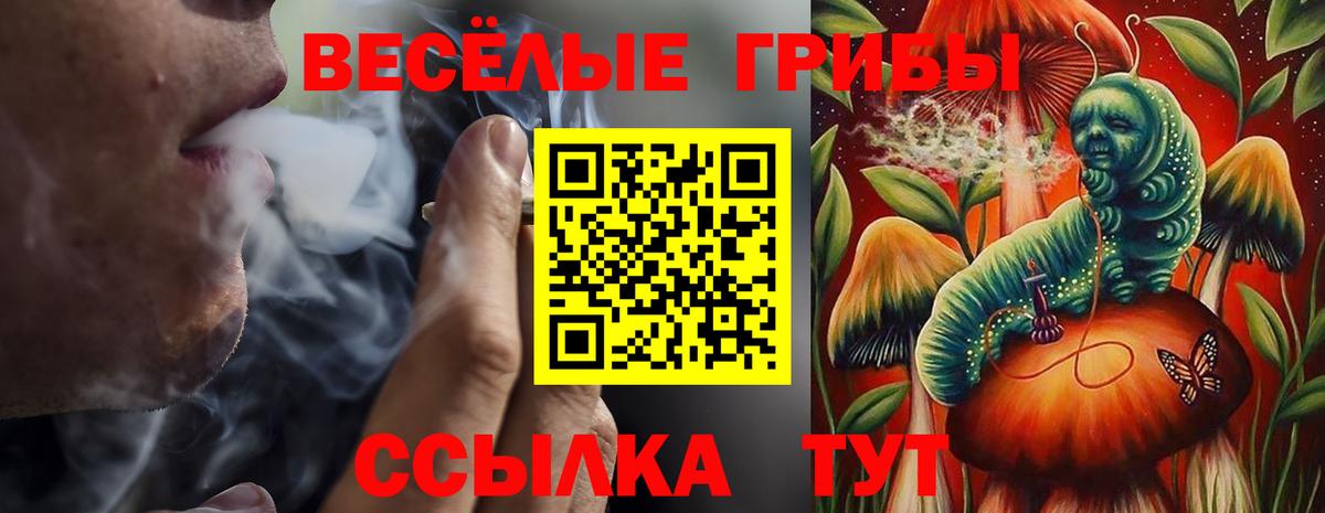 Галлюциногенные грибы Psilocybine cubensis  Псилоцибиновые грибы MAGIC MUSHROOMS  купить наркотик  Верхняя Салда  Вход с VPN 